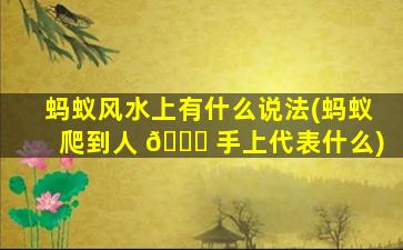 蚂蚁风水上有什么说法(蚂蚁爬到人 🐘 手上代表什么)